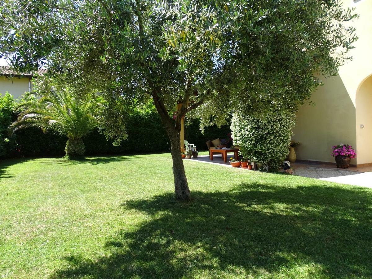 B&B La Dolce Vita Marsiliana Exteriör bild